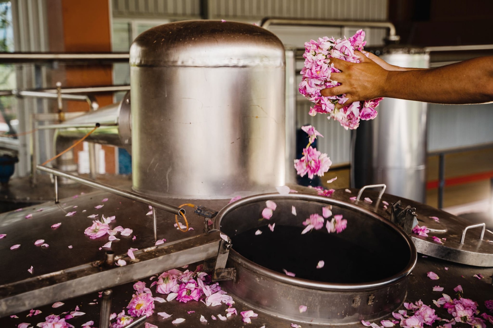 圖2 根本芳療嚴選印尼完整燕條，搭配保加利亞食品級「銅鍋玫瑰純露」泡發熬製，展現頂級品質與天然奢華。（圖片來源：根本芳療）